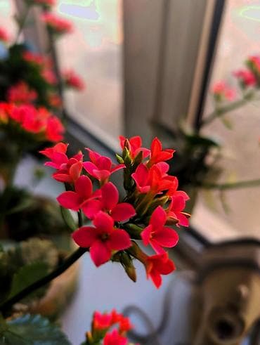 samsung fold3: Google Pixel 8 Pro, Б/у, 128 ГБ, цвет - Черный, 2 SIM, eSIM — 6