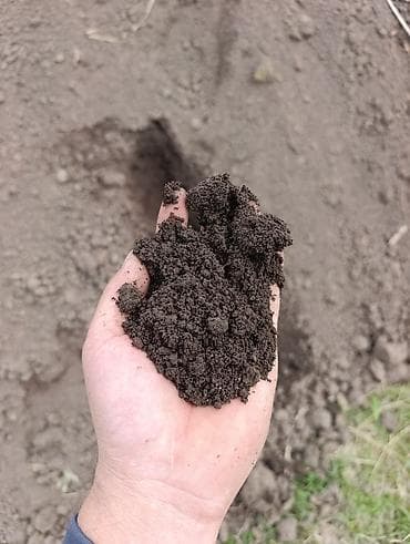 чернозем бешкунгей: В тоннах, Бесплатная доставка, Зил — 3