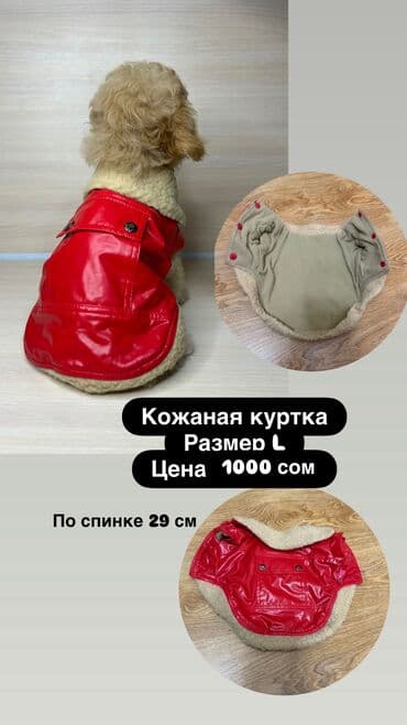 чехлы для когтей кошек: Одежда для кошек и собак. Все НОВОЕ РАЗМЕР И ЦЕНА УКАЗАНЫ НА ФОТО — 23