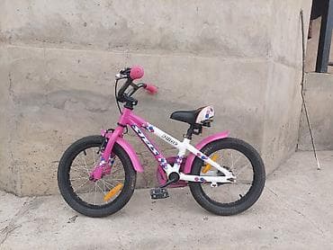 детски веши: Детский велосипед, 2-колесный, 4 - 6 лет, Для девочки — 2