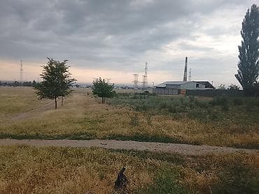 бахта: Арендага Жер берилет 24 соток Кашка-Баш айылында магистраль жолуна — 2