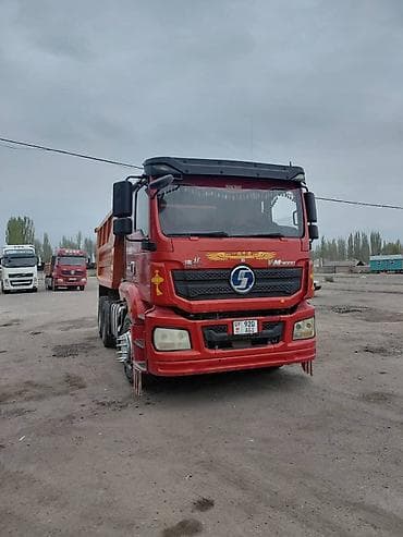 баран живой: Продаю Самосвал 6x4 Shaanxi (Shacman) М3000, 430 л.с. - Колесная — 3