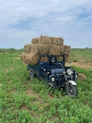 Грузовой электротрицикл (электрический мотоциклетный трицикл) для — 2