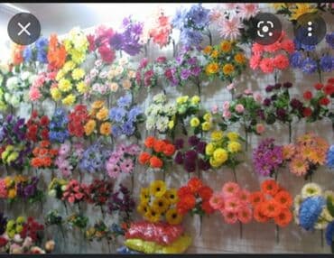 цветы домашнии: Организация мероприятий | Букеты, флористика — 2