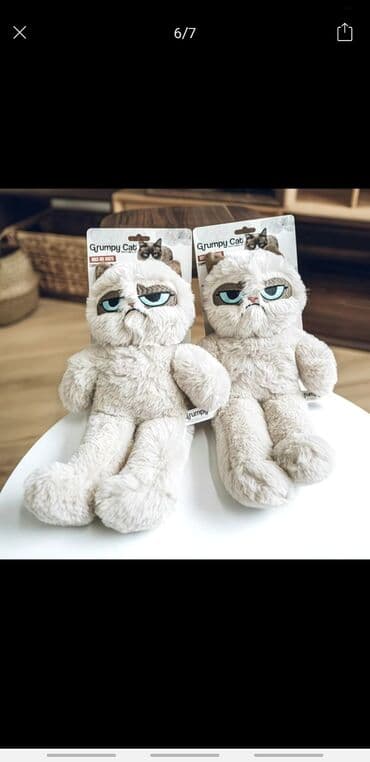 сколько стоит говорящий кактус: Новогодние праздники БЛИЗКО! Успейте заказать! Мягкая игрушка Grumpy — 1