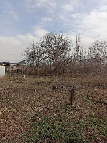 ищу участок чекиш ата: 11 соток, Для бизнеса, Красная книга, Тех паспорт — 6