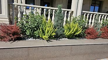 рабочие: Ландшафтные работы и озеленение участков - Проектирование — 10