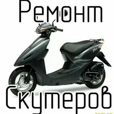 Римонт скуторов