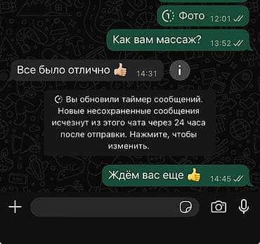 джек рассел терьер купить бишкек: Чихуахуа, 2 месяца, Самец — 8