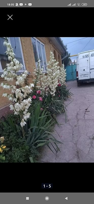 продаю дом с магазином: Дом, 120 м², 4 комнаты, Собственник, Евроремонт — 1