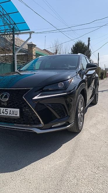 Lexus NX: 2019 г., 2 л, Автомат, Бензин, Кроссовер