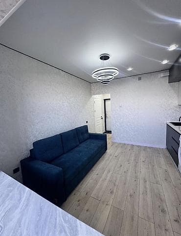 46: 1 комната, 26 м², Элитка, 1 этаж, Евроремонт — 3
