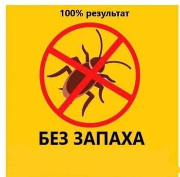 дезинфекция дома от клопов ош: Дезинфекция, дезинсекция, | Вирусы, микробы, Обработка деревьев, Тараканы, | Транспорт, Кафе, магазины, Дворы — 4