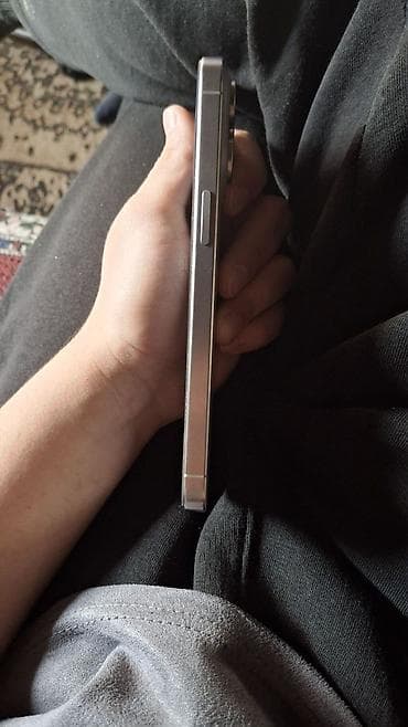 кудер: IPhone 15 Pro Max, 256 ГБ, Natural Titanium, Зарядное устройство, Коробка, 87 % — 3