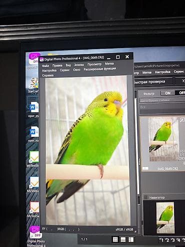 compact flash: Зеркальная камера Canon EOS 100D (Самая компактная в мире зеркалка) с — 3