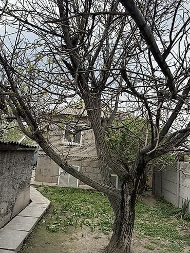 6 соток: Продается участок 6 соток Киргизия 2 . Отличный вариант как для — 1