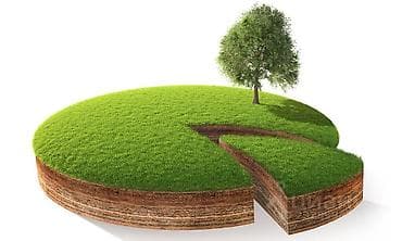 сел: 5 соток — 1