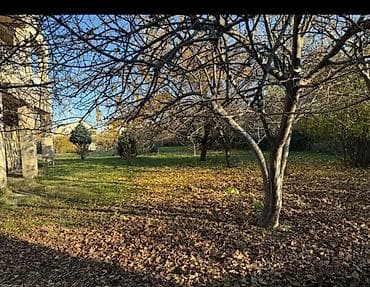 Продажа участков: 8 соток, Красная книга — 2