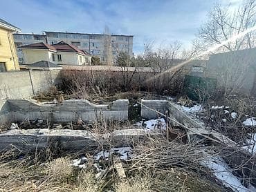 кок терек: 5 соток, Кызыл китеп, Техпаспорт, Сатып алуу-сатуу келишими — 9