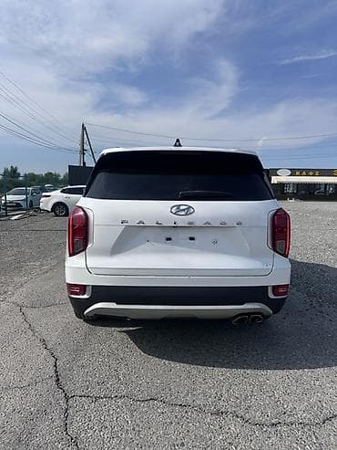 железные пороги: Hyundai Palisade: 2020 г., 2.2 л, Автомат, Дизель, Кроссовер — 6