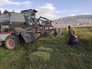 mini cooper: Комбайн зерноуборочный «НИВА» (СК-5М) состояние очень хорошее вложения — 7