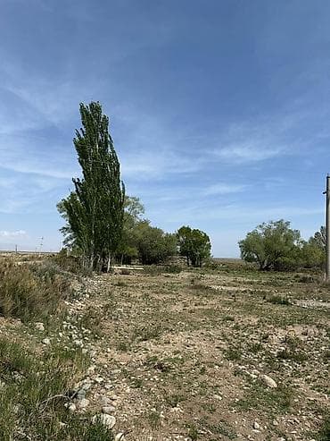 куплю сельхоз землю: 220 соток, Для сельского хозяйства, Красная книга — 7