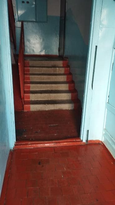 дорожку: Уборка территории, Уборка двора и сада — 3