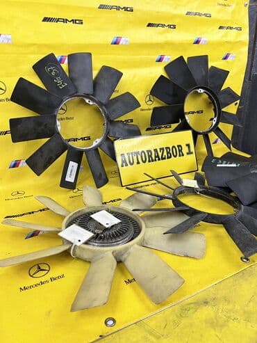 рычак на фит: Вентилятор Жапония — 13