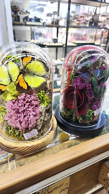 колбы: Подарок - живые розы которые не завянут даже через год!!! Роза в — 9