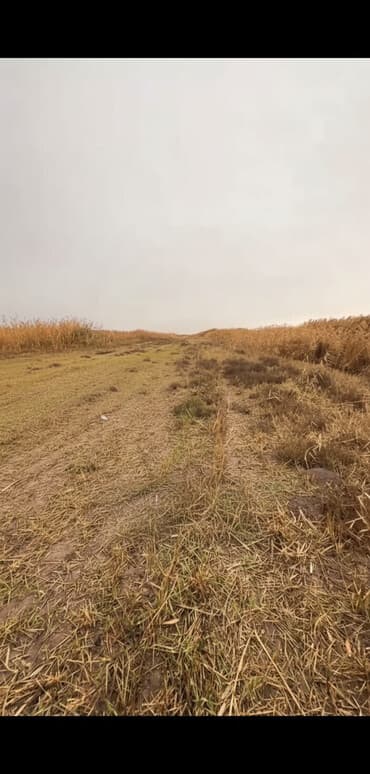 1000 соток, Для сельского хозяйства, Красная книга at lalafo.kg 1000 соток, Для сельского хозяйства, Красная книга