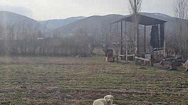 дом в селе: 10 соток, Для строительства — 2