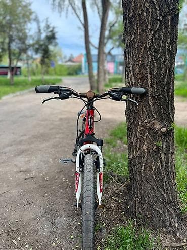 Велосипеды: Детский велосипед, 2-колесный, 6 - 9 лет, Для мальчика, Б/у — 5
