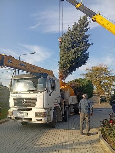 Услуги автокрана: Услуги бортового кран-манипулятора - Погрузка, разгрузка и перевозка — 4