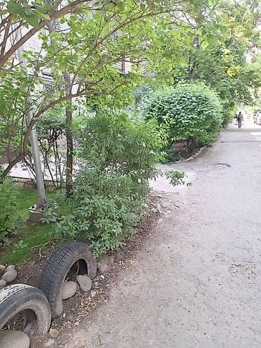house: 2 комнаты, 45 м², Индивидуалка, 1 этаж, Евроремонт — 2