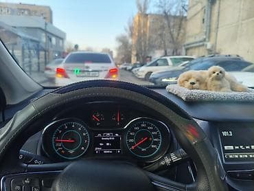 шевроле крус: Chevrolet Cruze: 2018 г., 1.4 л, Автомат, Бензин, Седан — 9