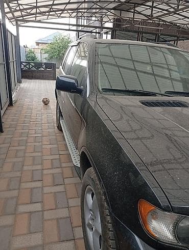 х5 дизель: BMW X5: 2003 г., 3 л, Автомат, Дизель, Кроссовер — 8