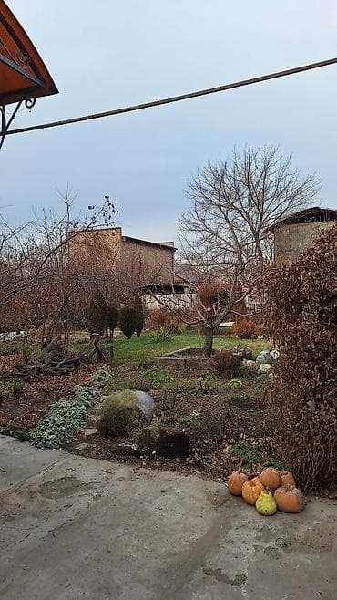 пишпека: 4 соток, Курулуш, Кызыл китеп, Техпаспорт, Сатып алуу-сатуу келишими — 2