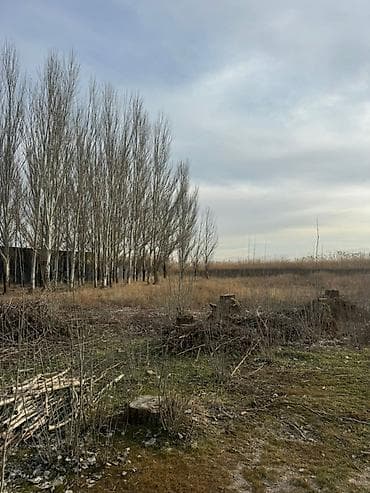 участок 3соток: 86 соток, Для бизнеса, Красная книга, Тех паспорт — 6