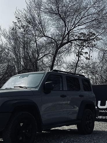 скупка газ: Tank 300: 2022 г., 2 л, Бензин — 6