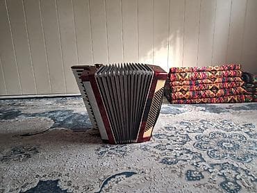 велотренажер купить: Аккордеон (клавишный) в красно-перламутровом корпусе. Характеристики — 5