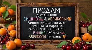Абрикосы: Вишня В розницу — 1