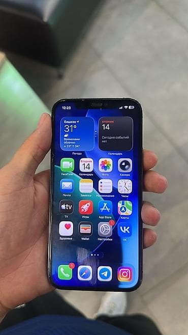 дисплей iphone 13 pro: IPhone 12Pro, - Цвет: графитовый - Экран Super Retina XDR 6.1" — 1