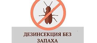 Клининговые услуги: Дезинфекция, дезинсекция, | Клопы, Блохи, Тараканы, | Офисы, Квартиры, Дома — 5