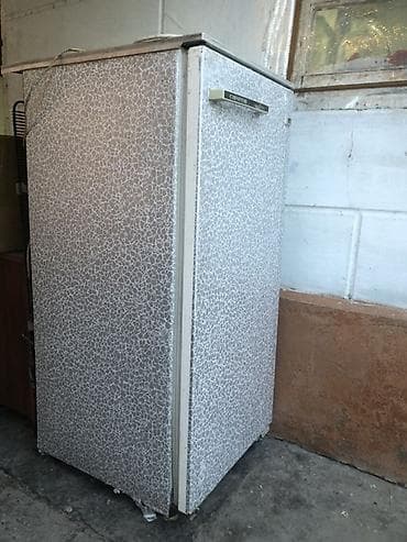 холодильник лар: Однокамерный холодильник с морозильной камерой (старой модели) — 3