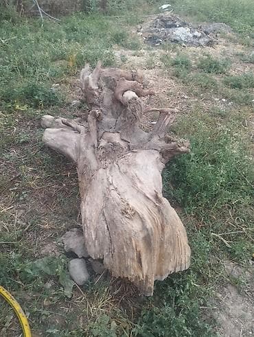 Сатылат баасы 8000 сом кеми бар at lalafo.kg Сатылат баасы 8000 сом кеми бар