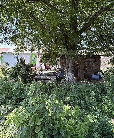 Кыймылсыз мүлк: 9 соток, Курулуш, Кызыл китеп — 1