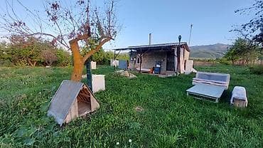 комната бишкек аренда: 120 соток, Для сельского хозяйства, Договор купли-продажи — 6