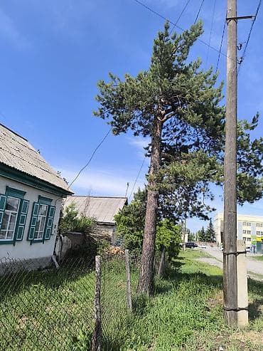 драва отун: Дрова Сосна, Самовывоз — 2