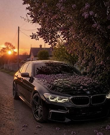коробка бмв: BMW 5 series: 2019 г., 4.4 л, Автомат, Бензин, Седан — 1