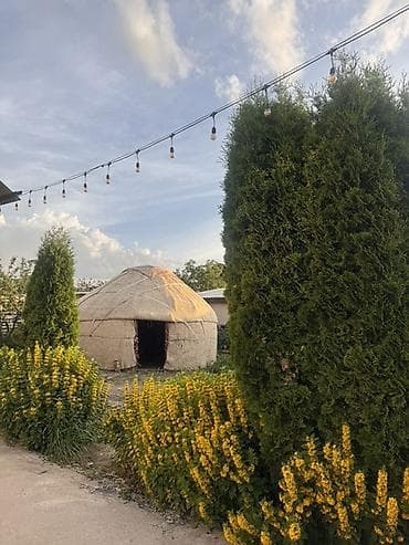 чуй батыш: 🏡 Караколдо эс алуу үчүн идеалдуу жер издеп жатасызбы? Биздин конок — 10